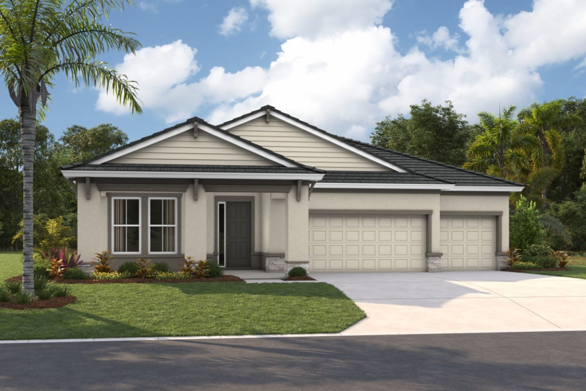 Coastal D - COA12 Color Scheme