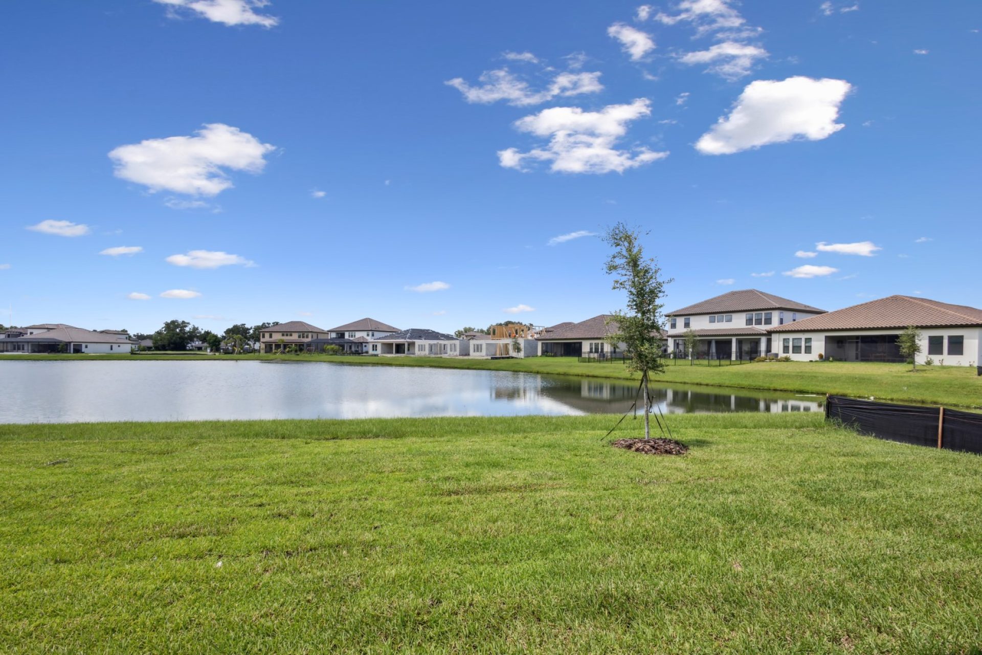 Backyard - 15003 Rider Pass Dr