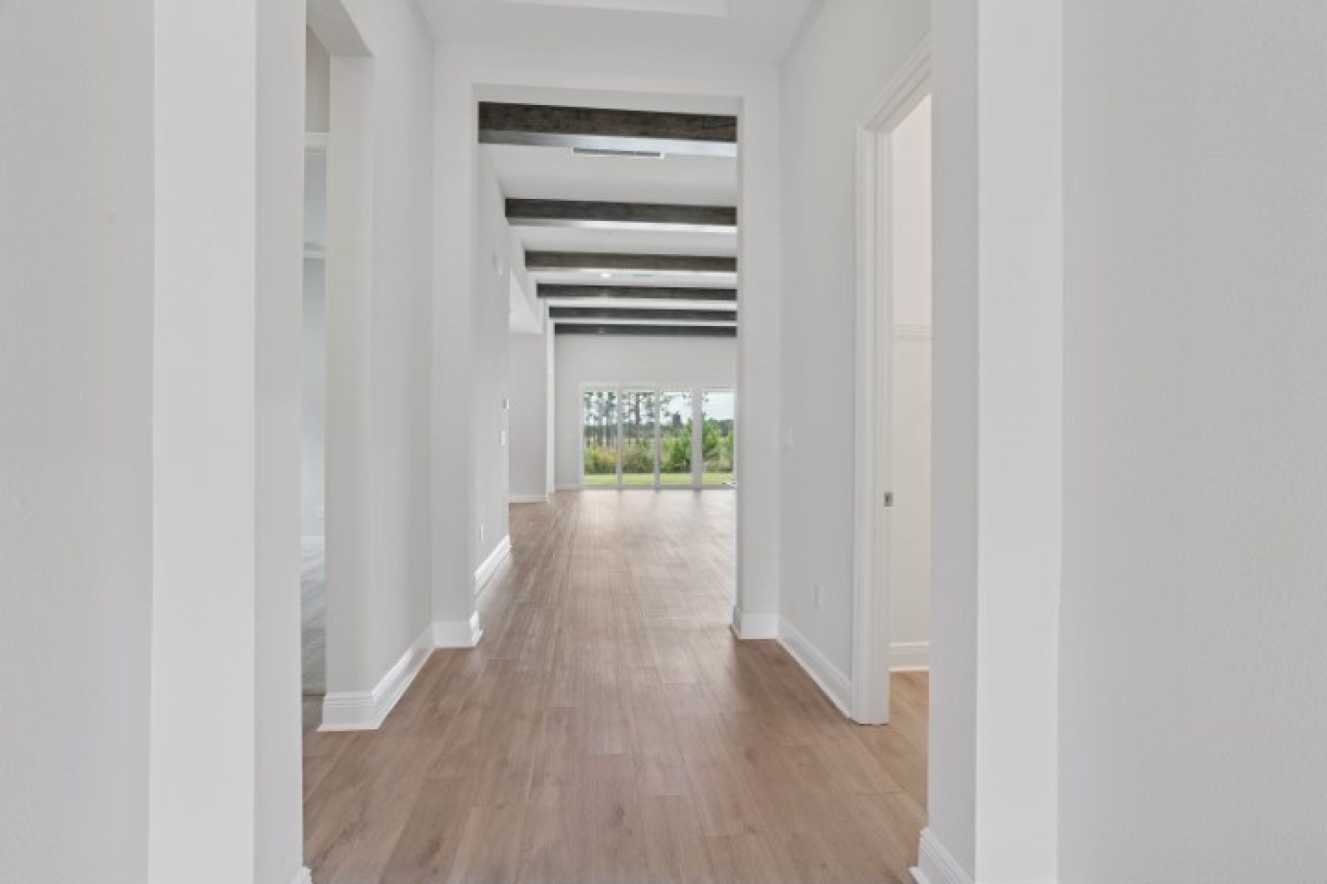 35310 Big Hawk Dr - Foyer
