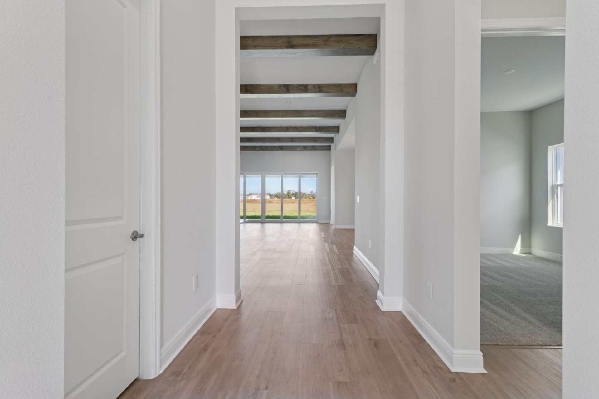 10739 Spring Sapling Cir - Foyer