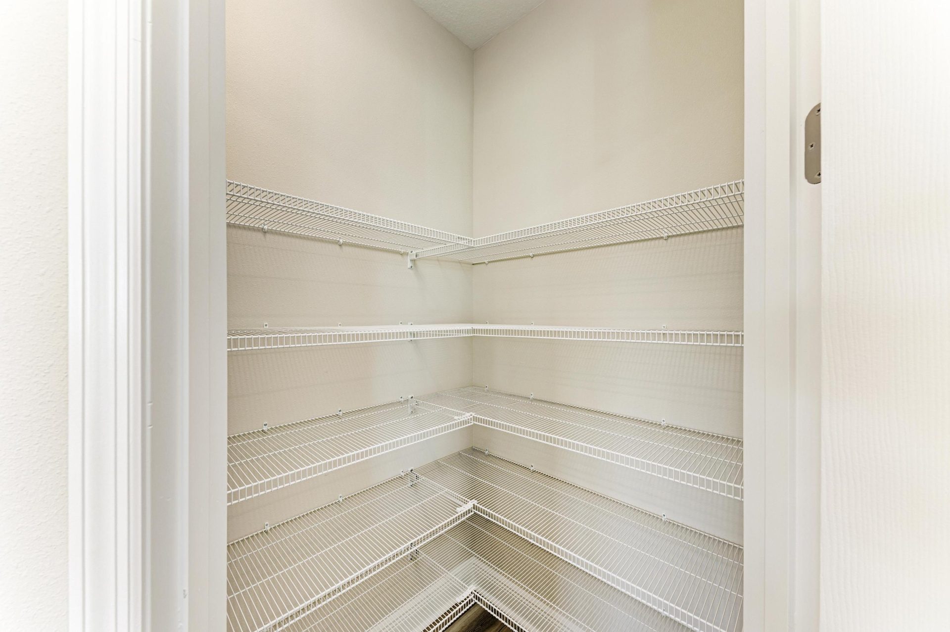 10148 Surrey Rose Dr - Pantry