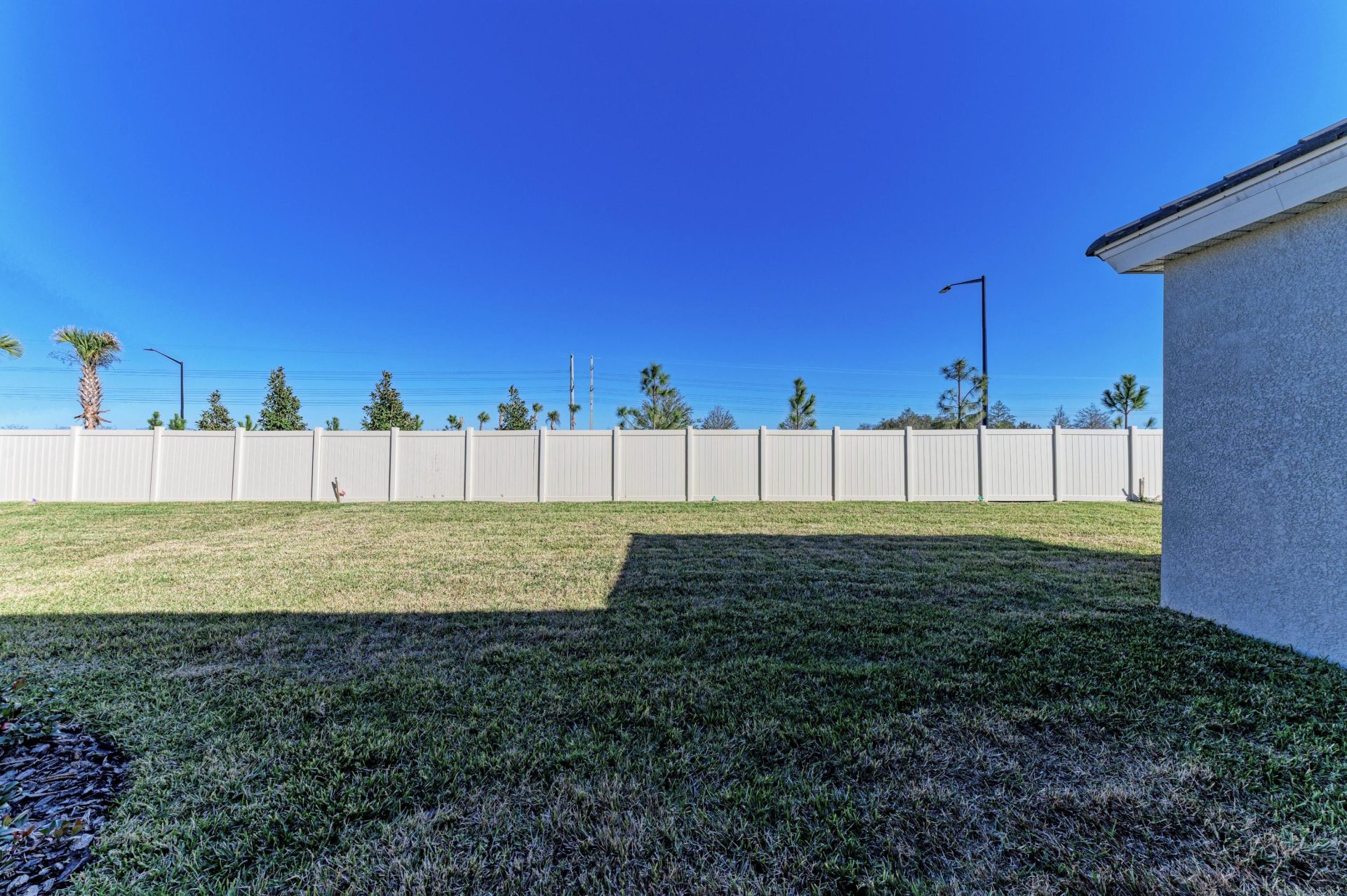 10858 Spring Sapling - LOT