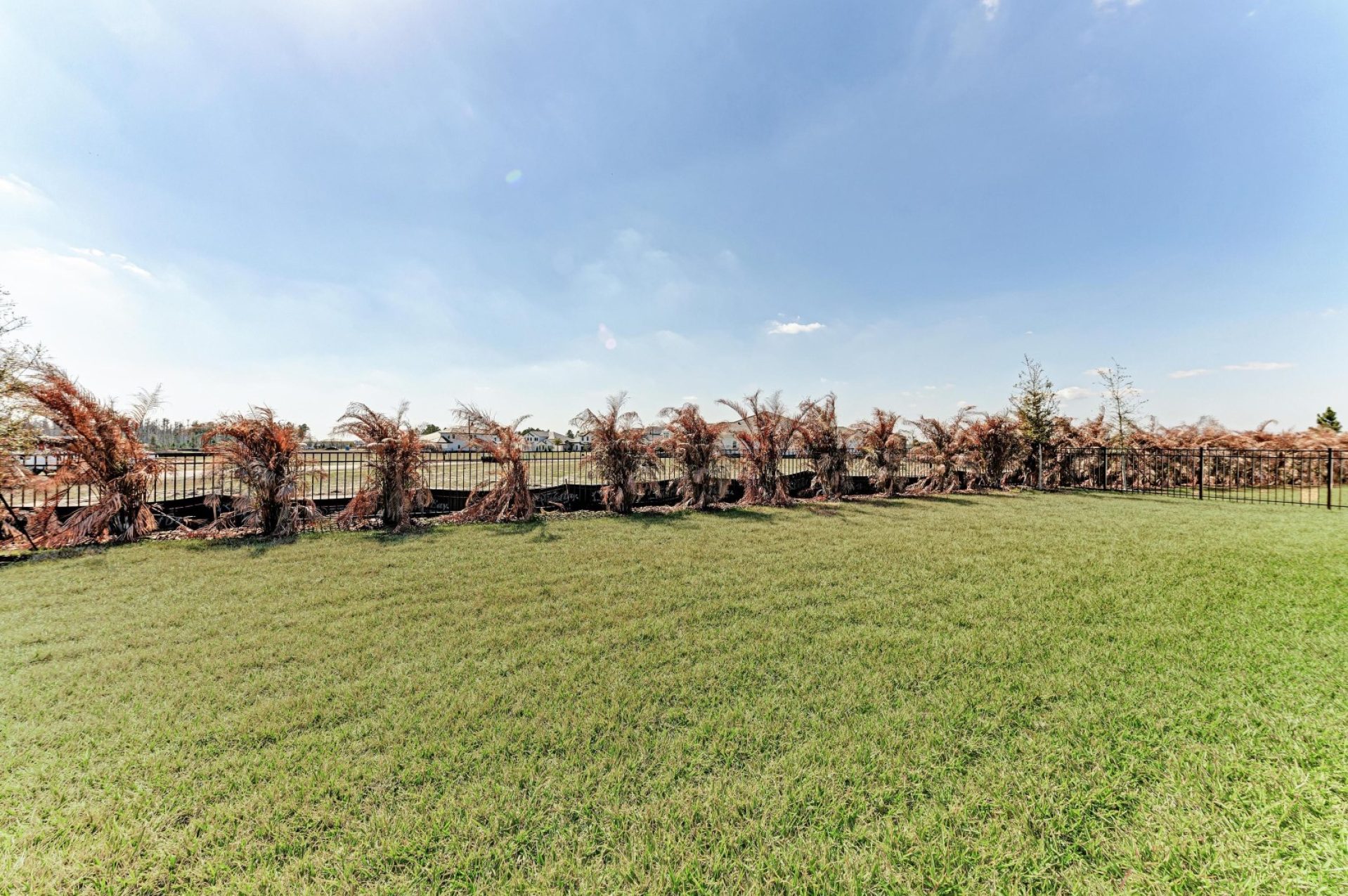 Biscayne II - 35576 Big Hawk Dr - Lot 1-13